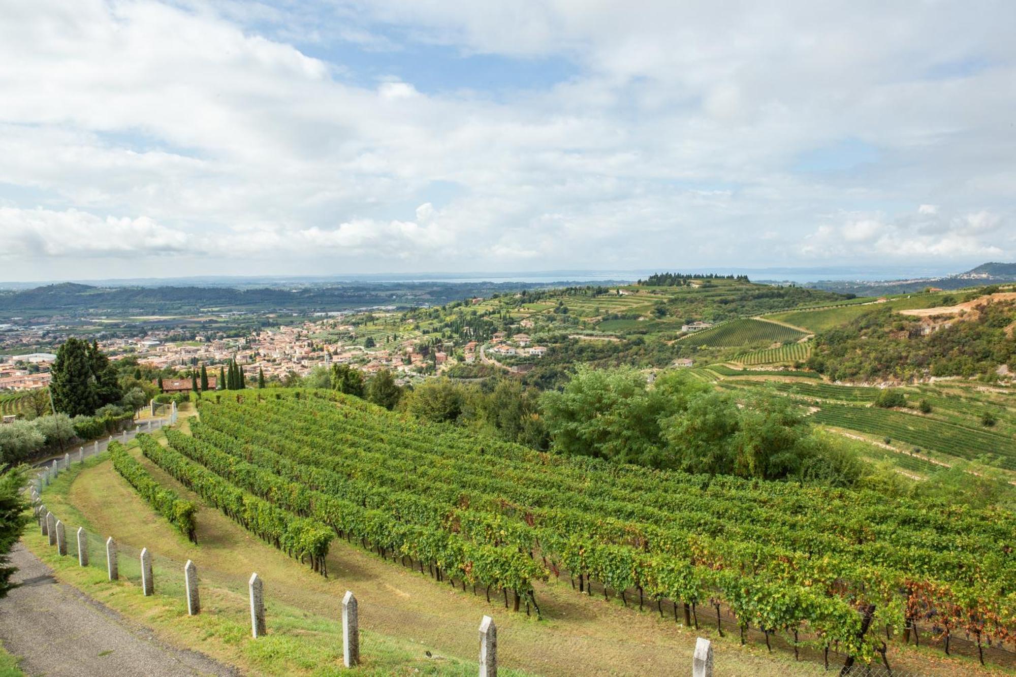 Villa San Giorgio SantʼAmbrogio di Valpolicella Dış mekan fotoğraf